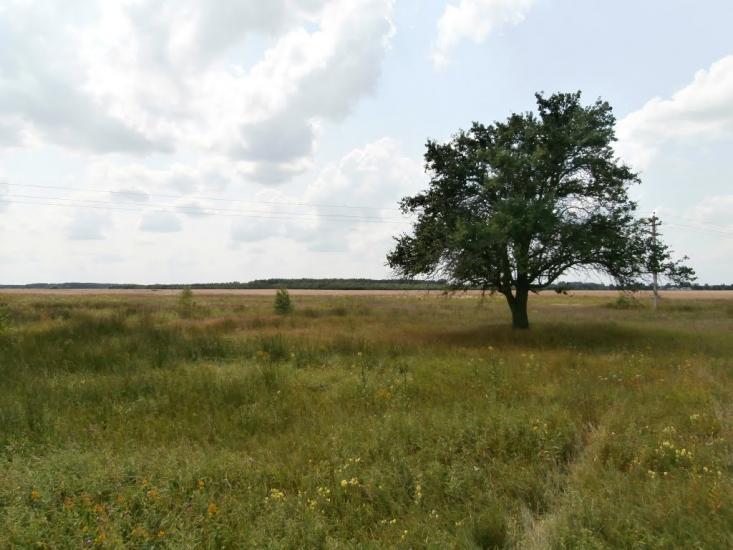 Ниговищі з panoramio.com - Ниговищи