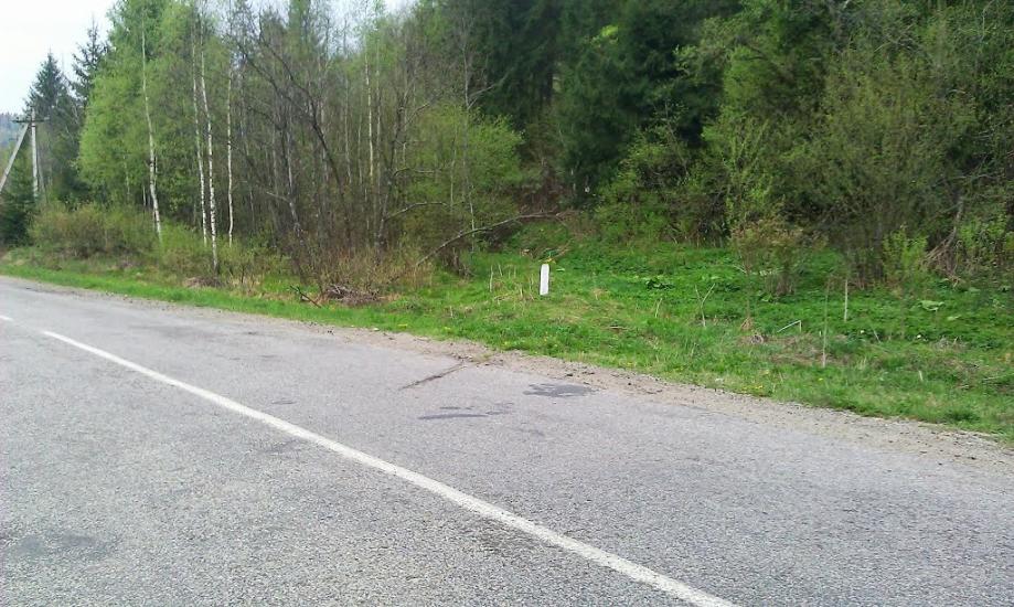 Новий Мізунь з panoramio.com - Novyy Mizun