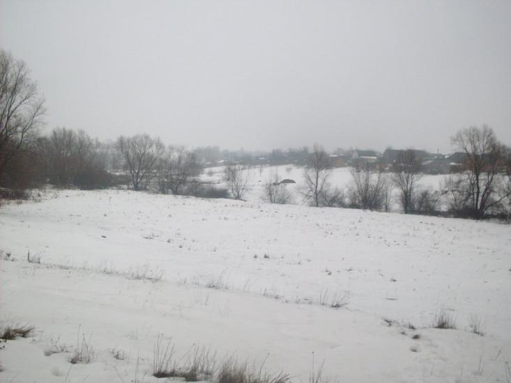 Куна з panoramio.com - Куна