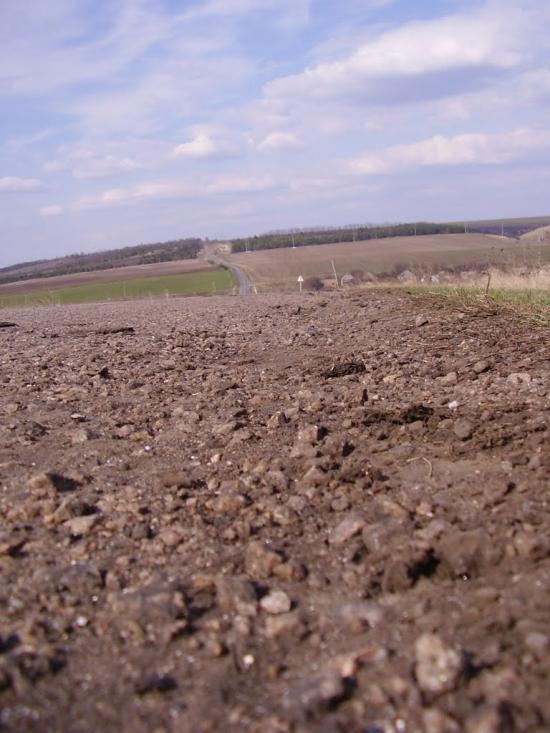 Сидорове з panoramio.com - Сидорове