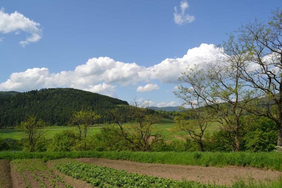 Рибник з panoramio.com - Rybnyk