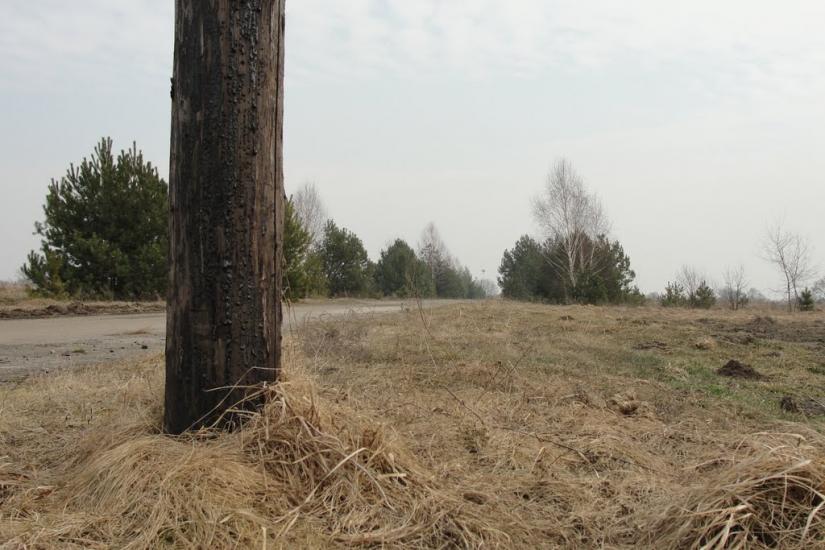 Конопелька з panoramio.com - Конопелька