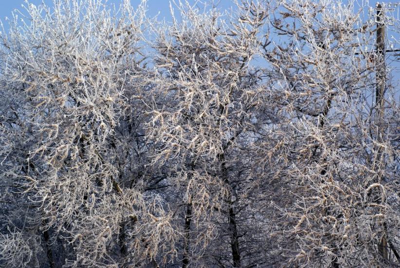 Яворів з panoramio.com - Яворов