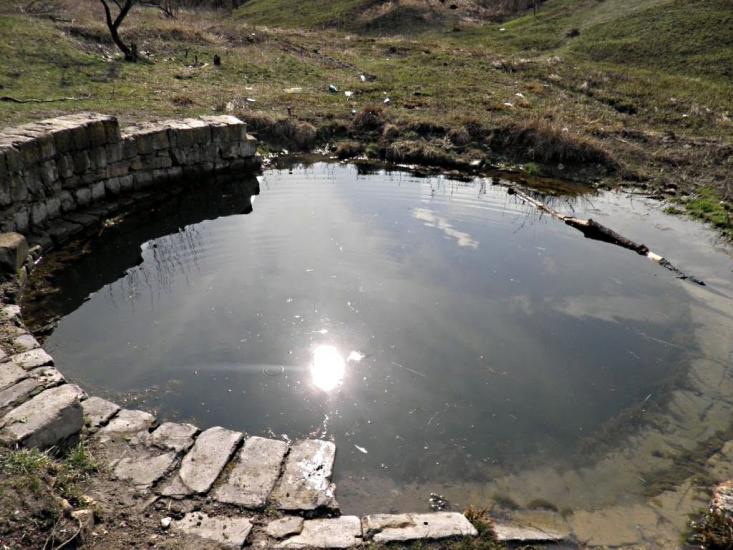 Білоріченський з panoramio.com - Білоріченський