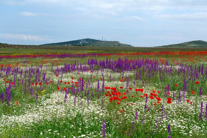 Насипне з panoramio.com - Насыпное