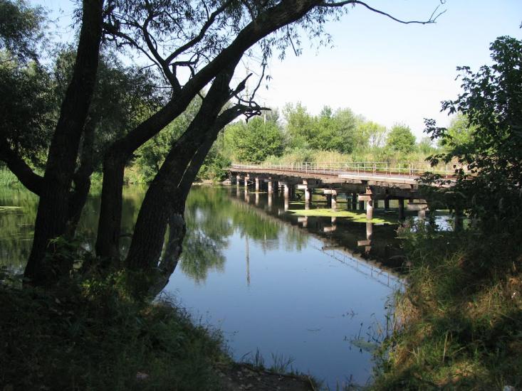 Крива Лука з panoramio.com - Крива Лука