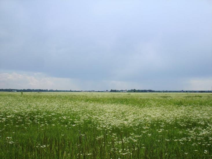 Копилів з panoramio.com - Копылов
