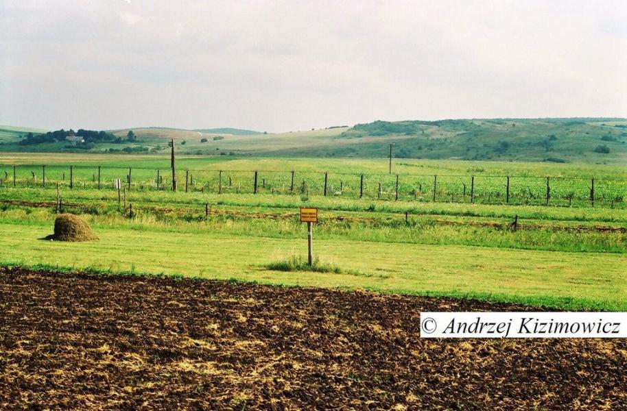 Пацьковичі з panoramio.com - Пацьковичі