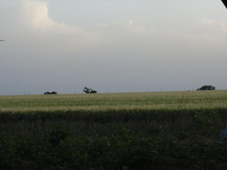 Снігурівка з panoramio.com - Снигиревка
