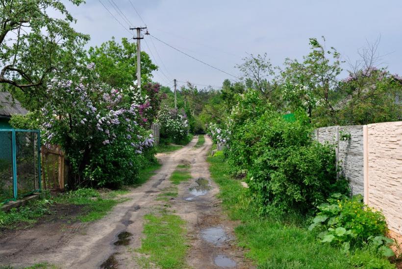 Капітанівка з panoramio.com - Капитановка