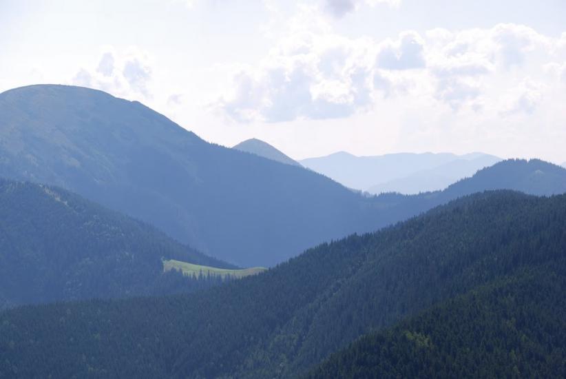 Черник з panoramio.com - Черник