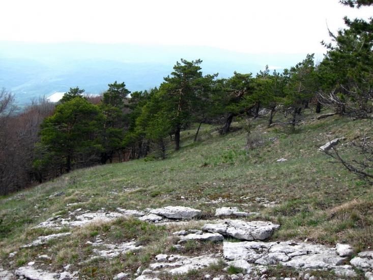 Відрадне з panoramio.com - Отрадное