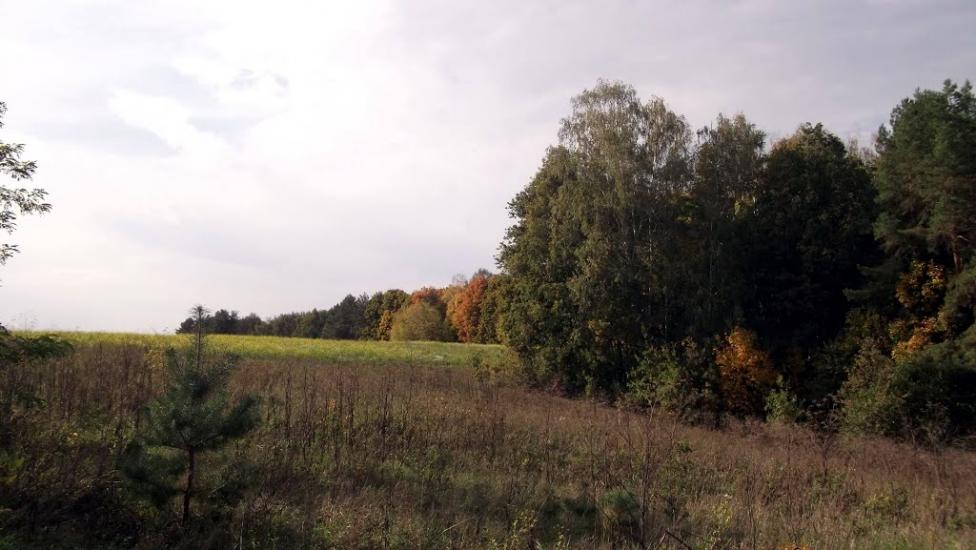 Битиця з panoramio.com - Битица
