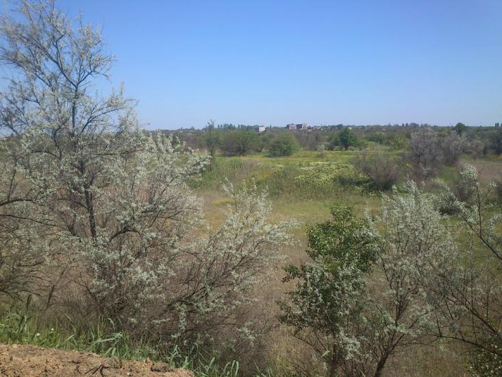 Орджонікідзе з panoramio.com - Орджоникидзе