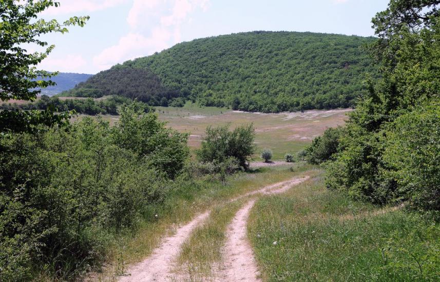 Прохладне з panoramio.com - Прохладное