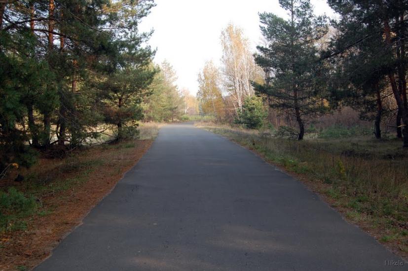 Борівське з panoramio.com - Борівське