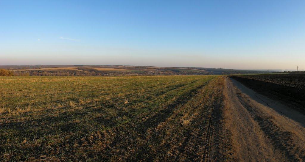 Нова Осота з panoramio.com - Новая Осота