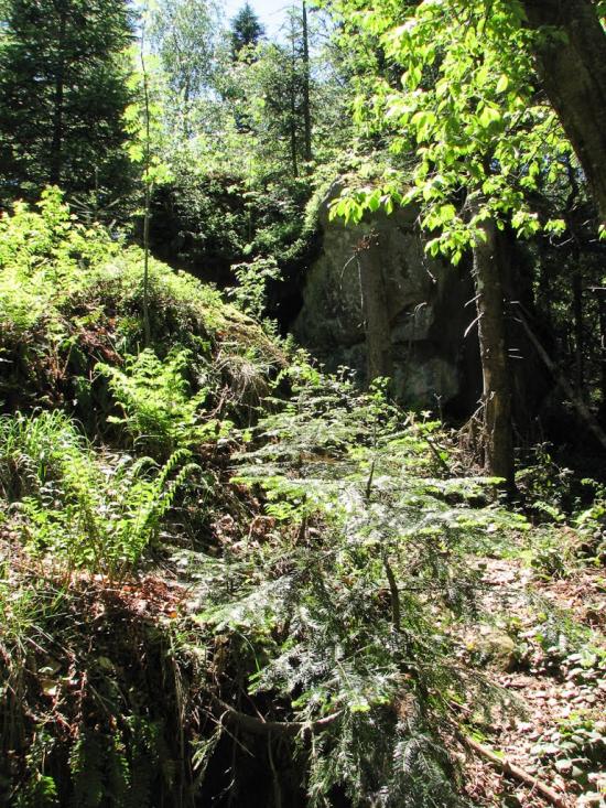 Труханів з panoramio.com - Труханов