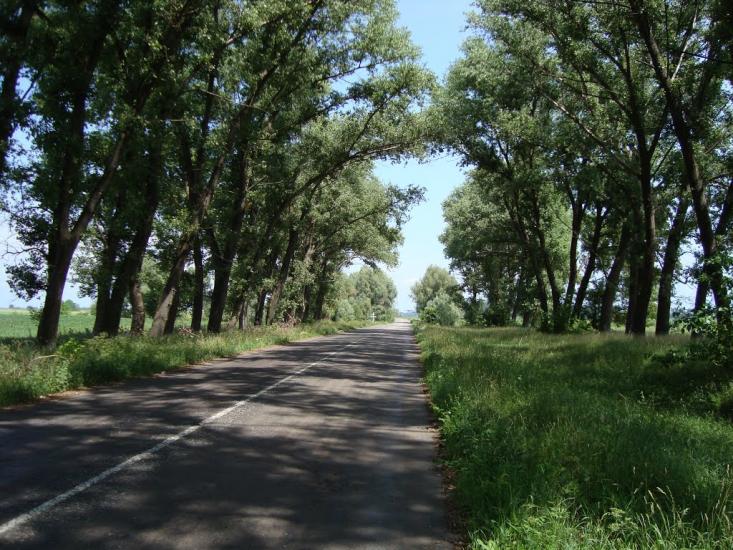 Русанів з panoramio.com - Русанов