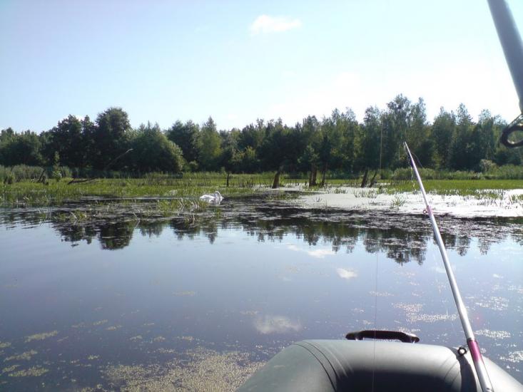 Циблі з panoramio.com - Tsybli