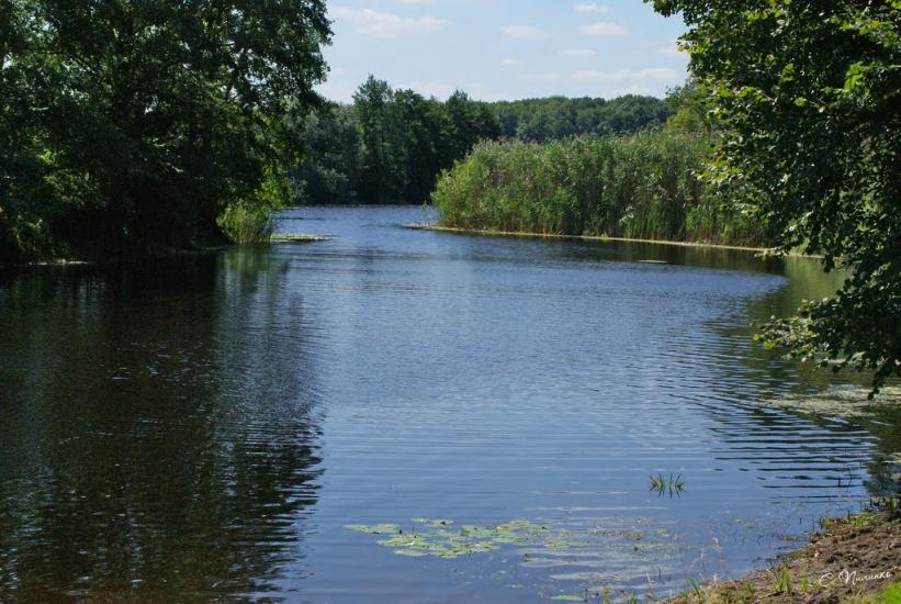 Матяшівка з panoramio.com - Матяшівка
