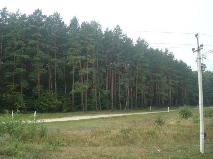 Кам'янка з panoramio.com - Каменка