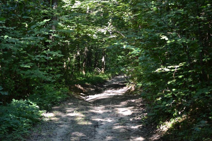 Грабовське з panoramio.com - Грабовское