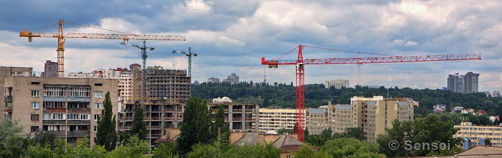 Новосілки з panoramio.com - Новоселки