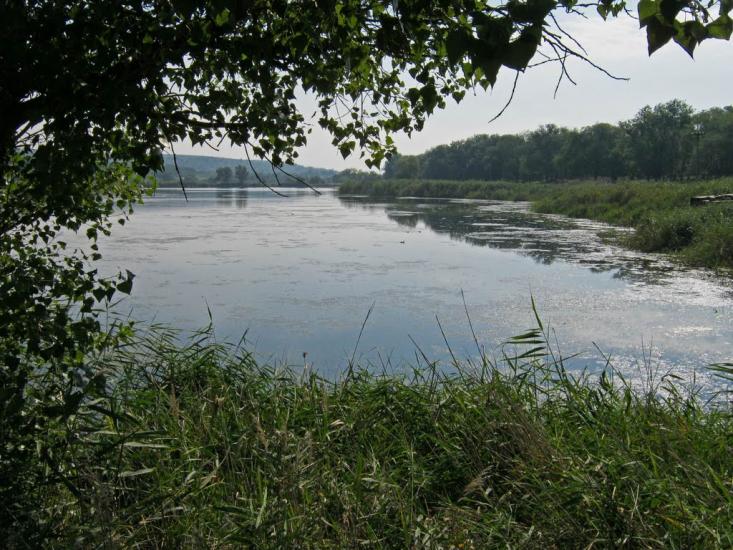 Новоіванівка з panoramio.com - Новоивановка