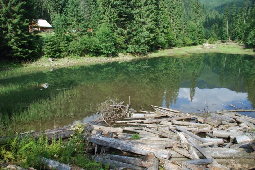 Бистриця з panoramio.com - Быстрица