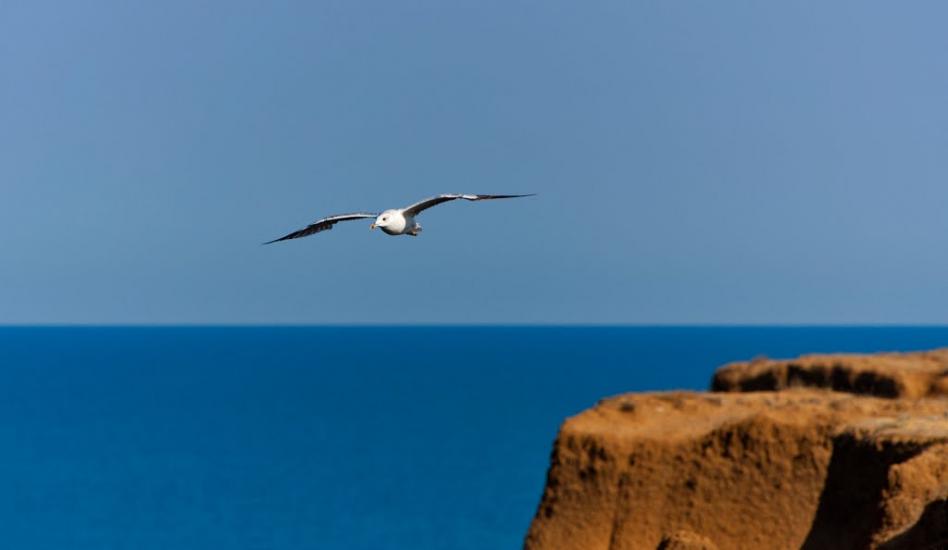 Кача з panoramio.com - Кача