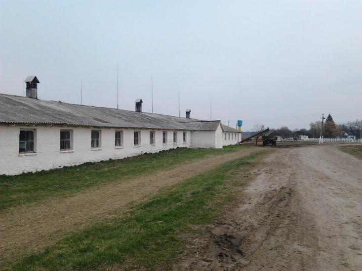 Рогачі з panoramio.com - Рогачи