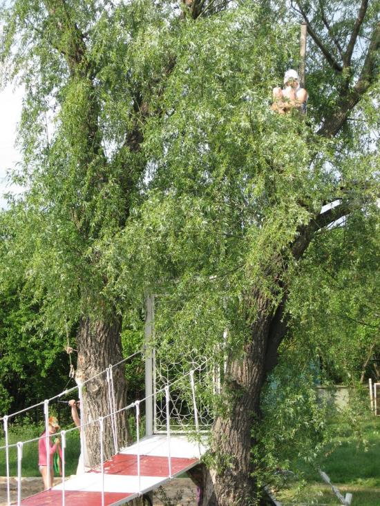 Чехівка з panoramio.com - Чеховка