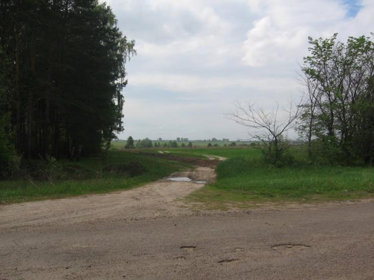 Товстоліс з panoramio.com - Толстолес