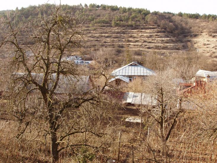 Піонерське з panoramio.com - Пионерское