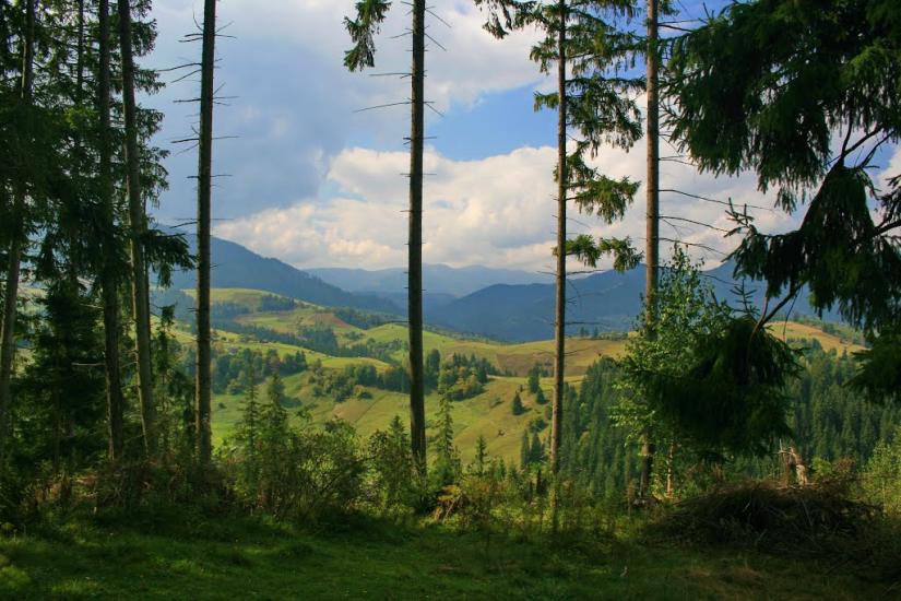 Ільці з panoramio.com - Ильцы