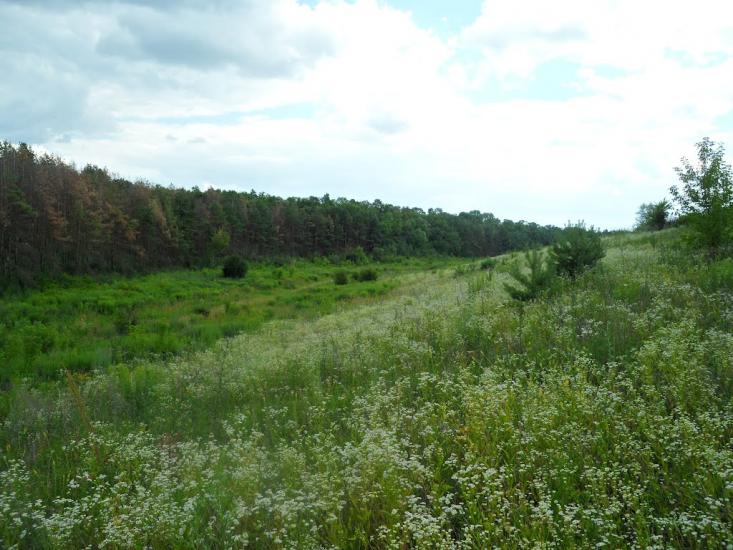 Новофастів з panoramio.com - Новофастів