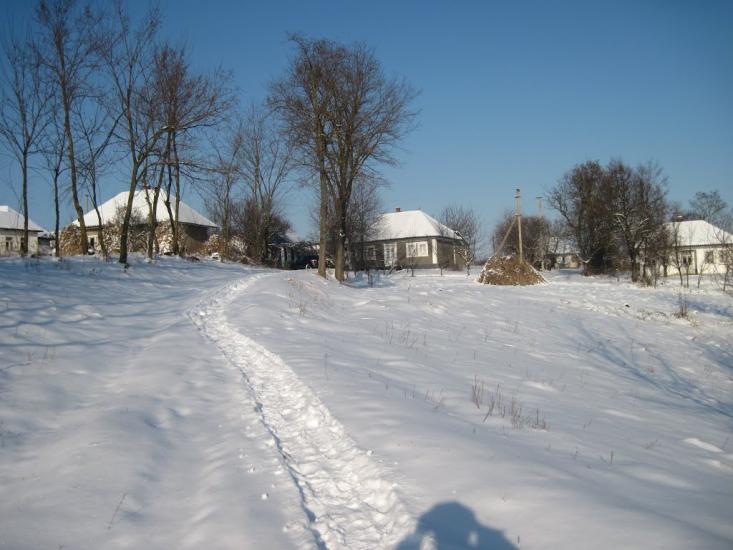 Подвір'ївка з panoramio.com - Подворьевка