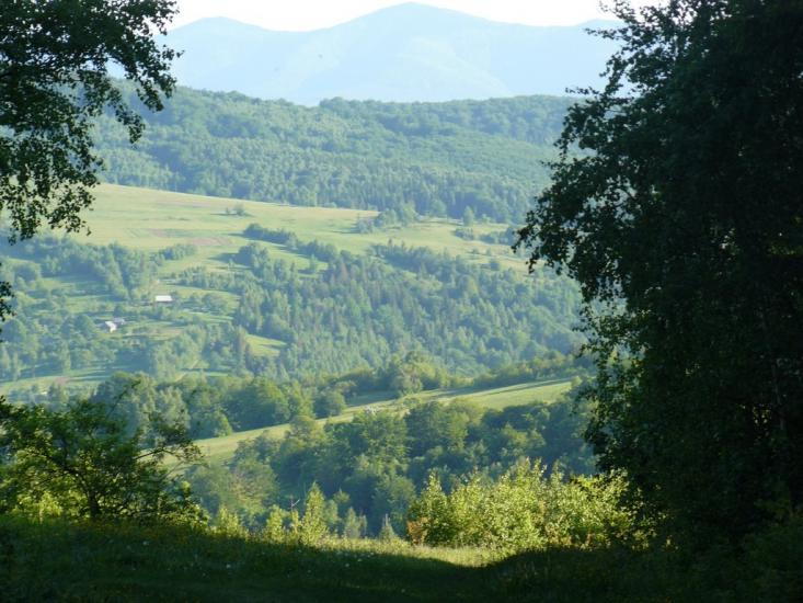 Орів з panoramio.com - Оров