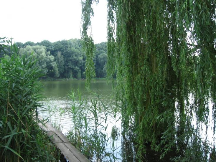 Жашків з panoramio.com - Жашков
