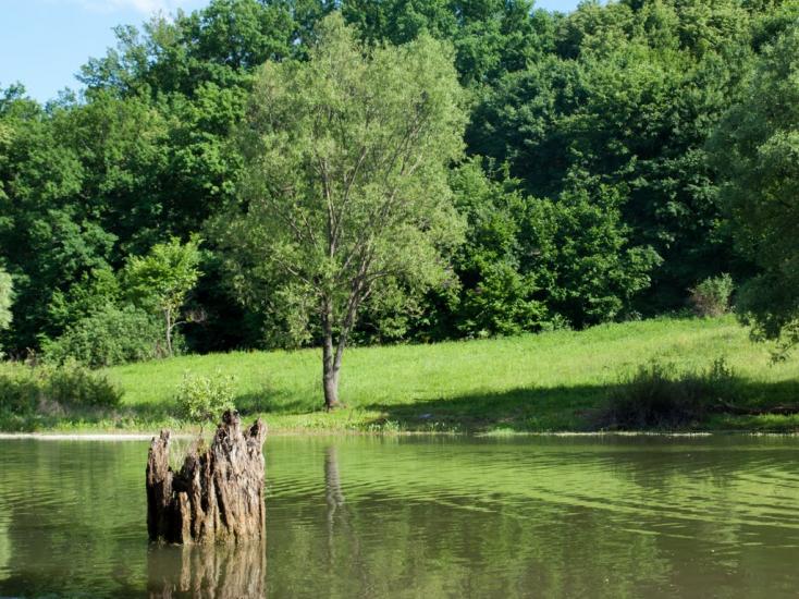 Бідряги з panoramio.com - Бедряги