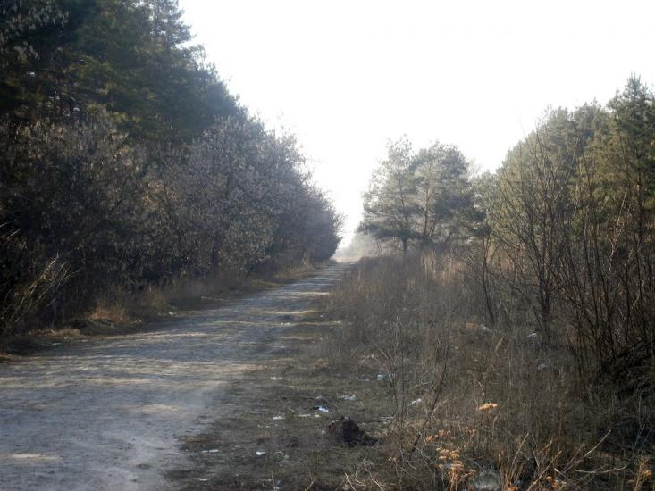 Власівка з panoramio.com - Власовка