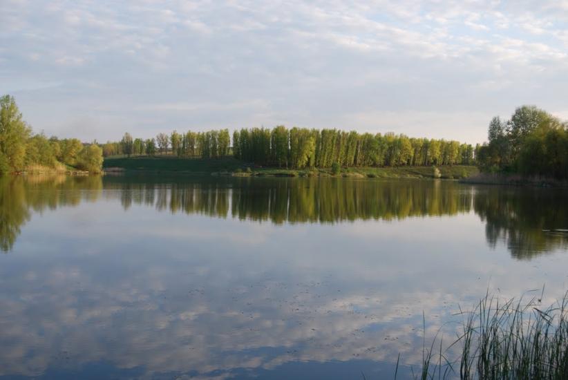 Питомник з panoramio.com - Питомник
