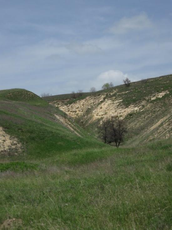 Зимогір'я з panoramio.com - Zymogirya