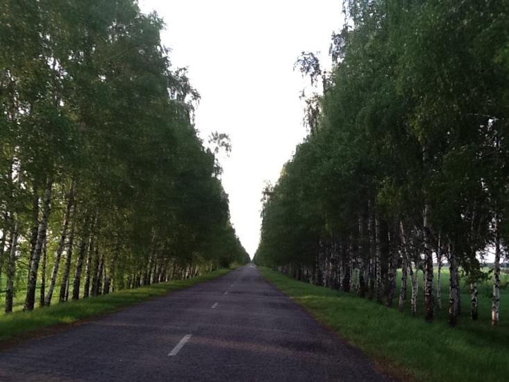 Панфили з panoramio.com - Панфилы