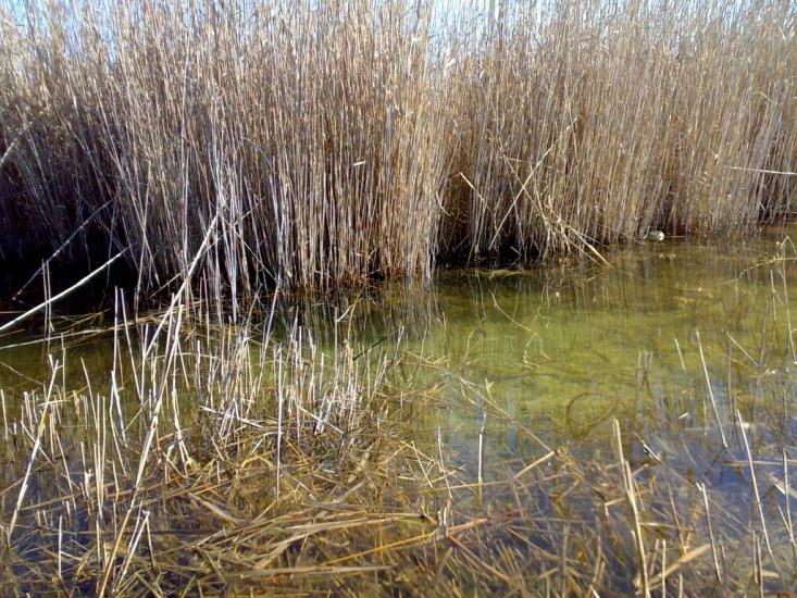 Жовтокам'янка з panoramio.com - Желтокаменка