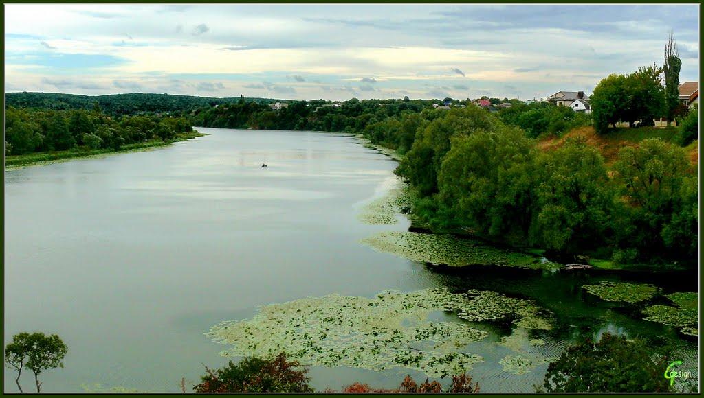 Прибузьке з panoramio.com - Прибугское