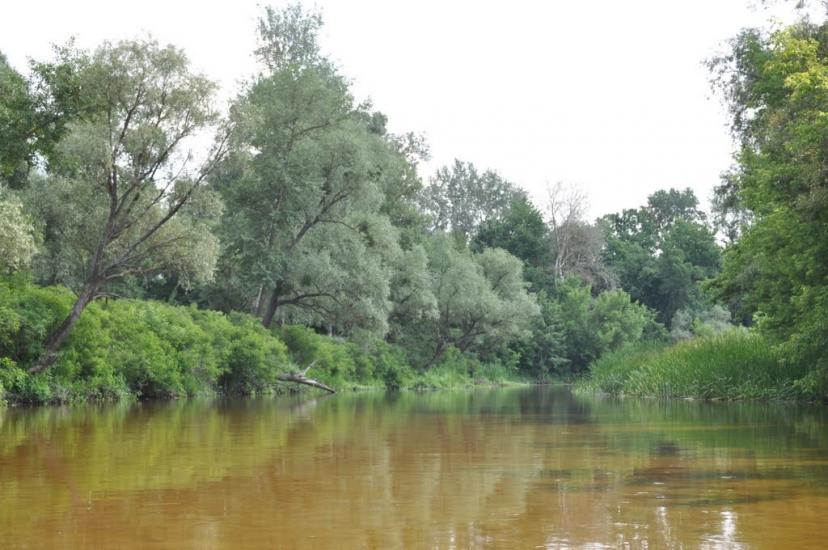 Лабурівка з panoramio.com - Лабуревка