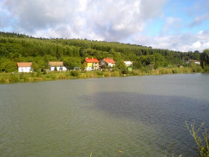 Трушевичі з panoramio.com - Трушевичи