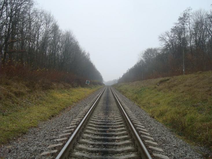 Лошківці з panoramio.com - Лошковцы
